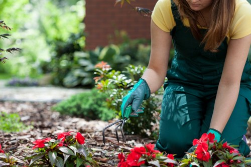 Accessibility support section for Tree Surgeons Sevensisters information