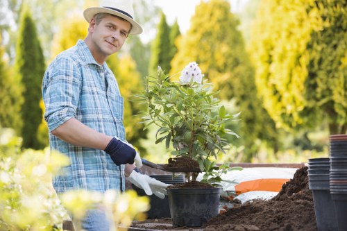 Supplier compliance checklist for tree surgery operations
